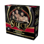 2024 Panini Select WWE Hobby Box