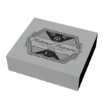 2024/25 Panini National Treasures Basketball Hobby 4 Box Case